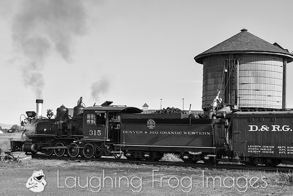 DRGW 315 Photo Freight on the C&TS RR, Antonito