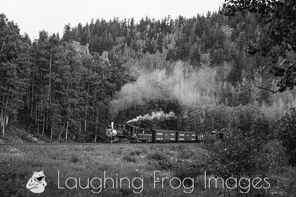 DRGW 315 Photo Freight on the C&TS RR, Toltec Creek