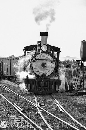 DRGW 315 Photo Freight on the C&TS RR, Antonito