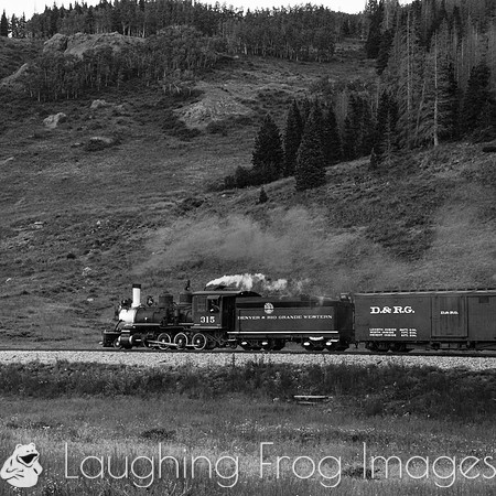 DRGW 315 Photo Freight on the C&TS RR, Los Pinos