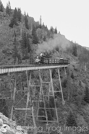 DRGW 315 Photo Freight on the C&TS RR, Cascade Trestle