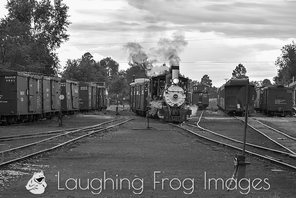DRGW 315 Photo Freight on the C&TS RR, Chama