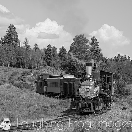 DRGW 315 Photo Freight on the C&TS RR