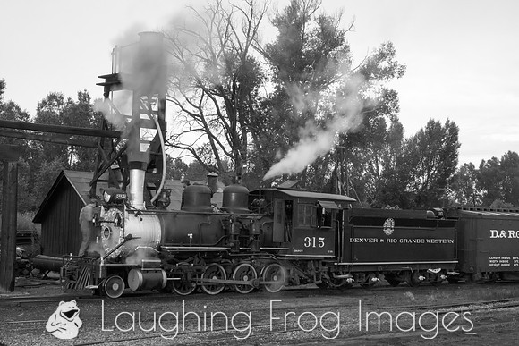 DRGW 315 Photo Freight on the C&TS RR, Chama