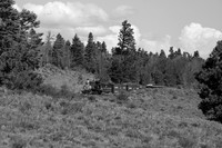 DRGW 315 Photo Freight on the C&TS RR