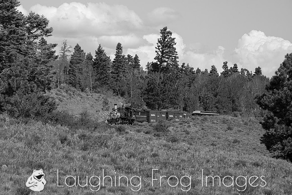 DRGW 315 Photo Freight on the C&TS RR