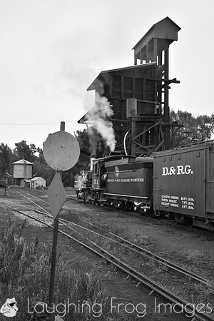 DRGW 315 Photo Freight on the C&TS RR, Chama