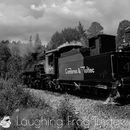 DRGW 315 Photo Freight on the C&TS RR, Sublette
