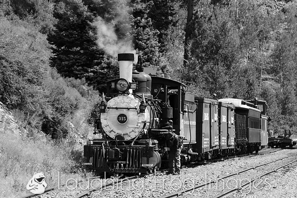 DRGW 315 Photo Freight on the C&TS RR, Sublette