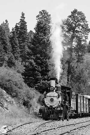 DRGW 315 Photo Freight on the C&TS RR, Sublette