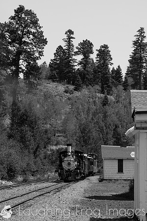 DRGW 315 Photo Freight on the C&TS RR, Sublette