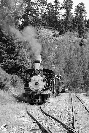 DRGW 315 Photo Freight on the C&TS RR, Sublette