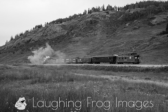 DRGW 315 Photo Freight on the C&TS RR, Los Pinos