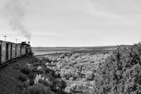 DRGW 315 Photo Freight on the C&TS RR