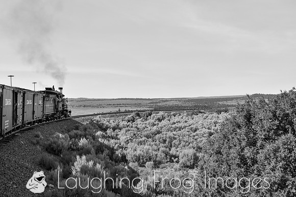 DRGW 315 Photo Freight on the C&TS RR