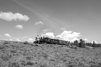 DRGW 315 Photo Freight on the C&TS RR