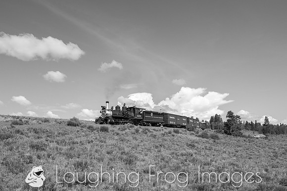 DRGW 315 Photo Freight on the C&TS RR