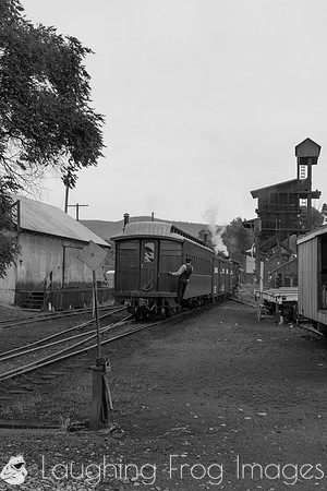 DRGW 315 Photo Freight on the C&TS RR, Chama