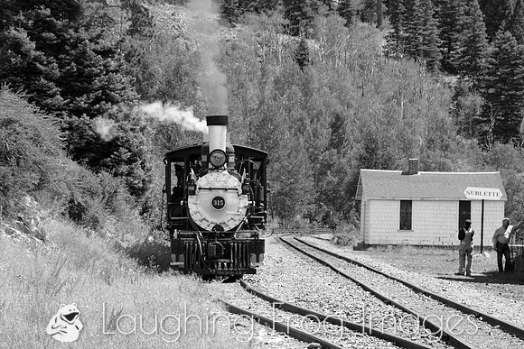 DRGW 315 Photo Freight on the C&TS RR, Sublette
