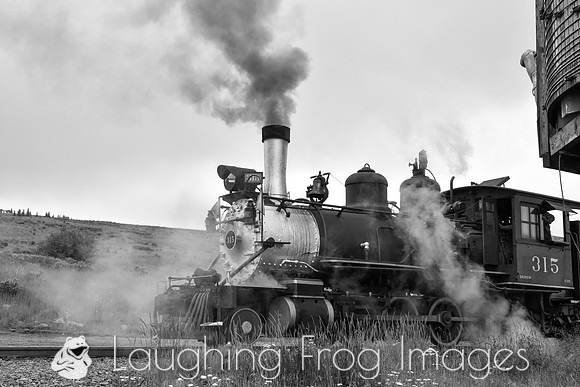 DRGW 315 Photo Freight on the C&TS RR, Osier