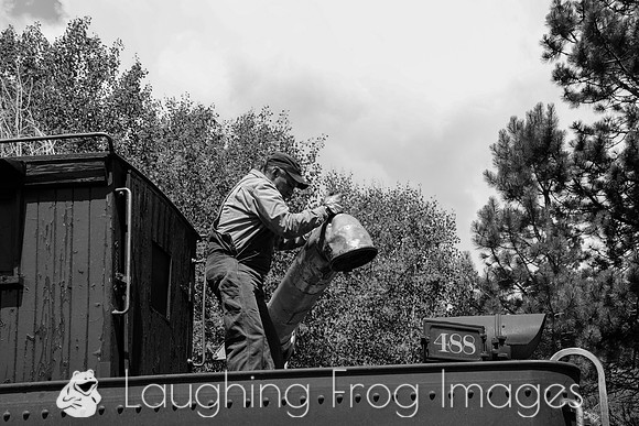 DRGW 315 Photo Freight on the C&TS RR, Sublette