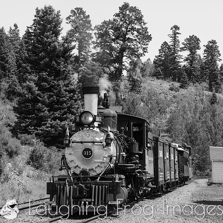 DRGW 315 Photo Freight on the C&TS RR, Sublette