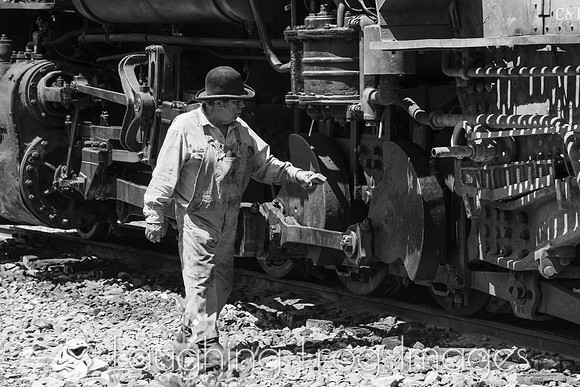 DRGW 315 Photo Freight on the C&TS RR, Sublette