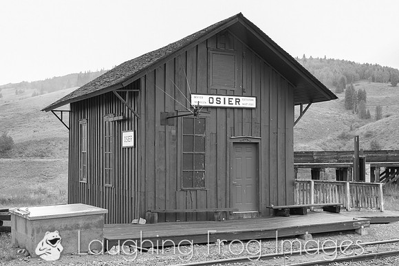 DRGW 315 Photo Freight on the C&TS RR, Osier