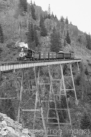 DRGW 315 Photo Freight on the C&TS RR, Cascade Trestle