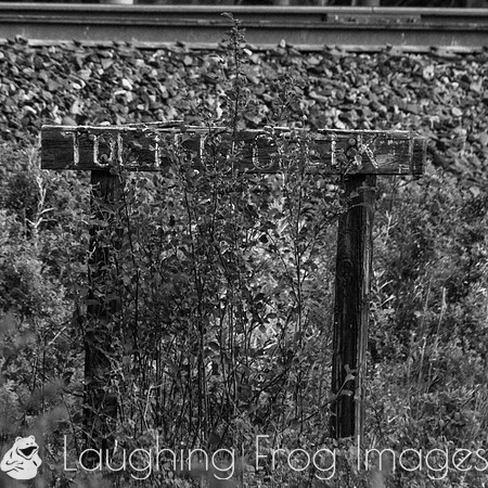 DRGW 315 Photo Freight on the C&TS RR, Toltec Creek