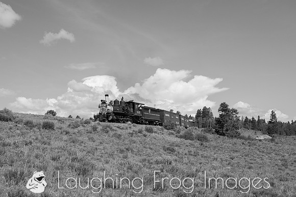 DRGW 315 Photo Freight on the C&TS RR