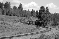 DRGW 315 Photo Freight on the C&TS RR