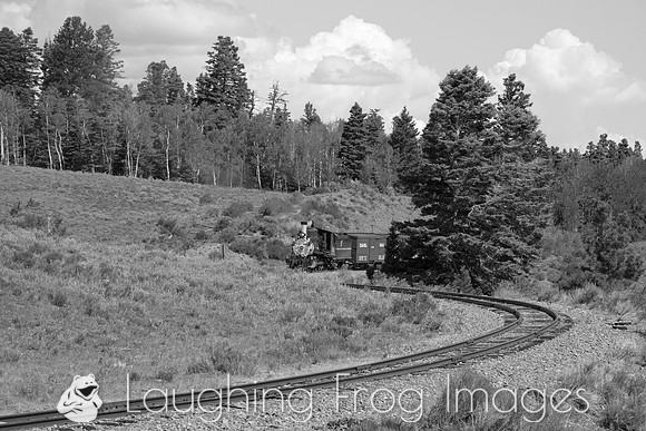 DRGW 315 Photo Freight on the C&TS RR