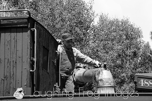 DRGW 315 Photo Freight on the C&TS RR, Sublette