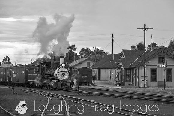 DRGW 315 Photo Freight on the C&TS RR, Chama