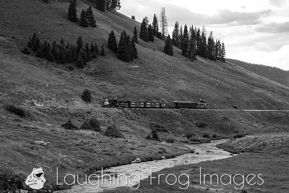DRGW 315 Photo Freight on the C&TS RR, Los Pinos