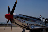 P-51 Fighter