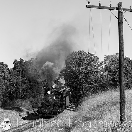 Skookum on the Niles Canyon Railway 2021