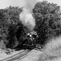 Skookum on the Niles Canyon Railway 2021