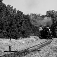 Skookum on the Niles Canyon Railway 2021