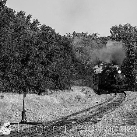 Skookum on the Niles Canyon Railway 2021