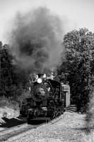 Skookum on the Niles Canyon Railway 2021