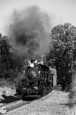 Skookum on the Niles Canyon Railway 2021