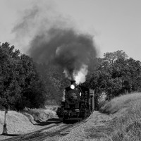 Skookum on the Niles Canyon Railway 2021
