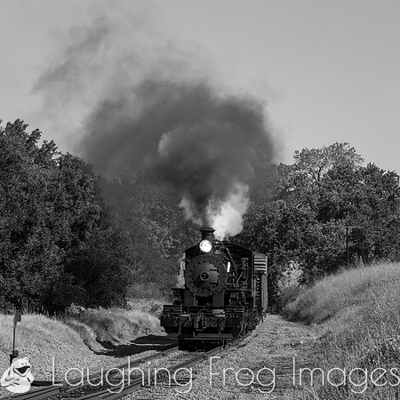 Skookum on the Niles Canyon Railway 2021