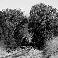 Skookum on the Niles Canyon Railway 2021