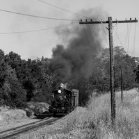 Skookum on the Niles Canyon Railway 2021