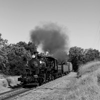 Skookum on the Niles Canyon Railway 2021