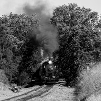 Skookum on the Niles Canyon Railway 2021