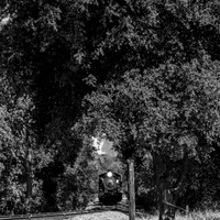 Skookum on the Niles Canyon Railway 2021
